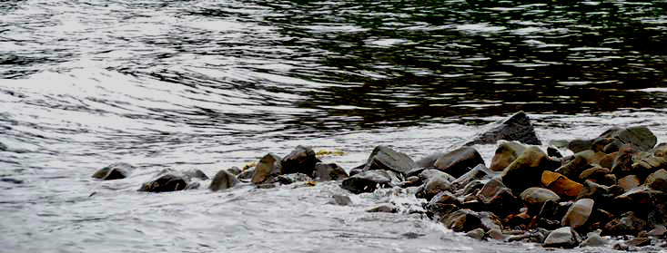 Winterview with Author M. A. Guglielmo