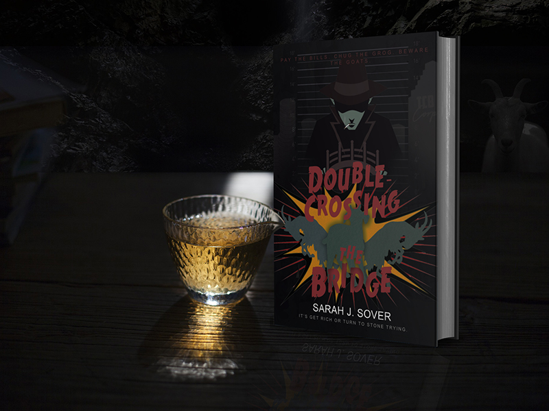 Tuesday Reviews: Double-Crossing the Bridge by Sarah J. Sover
